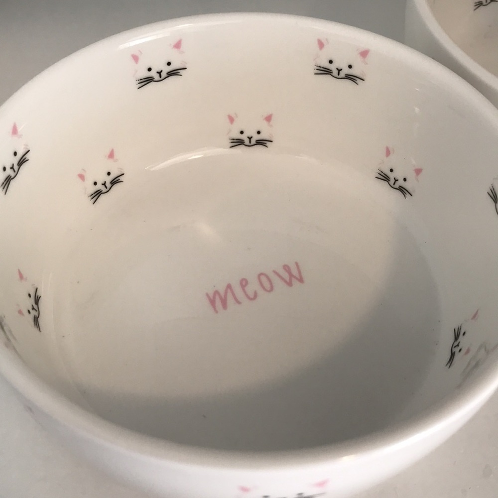 Teacup’s Diner 2 Piece Cat Feeding Bowl Set
